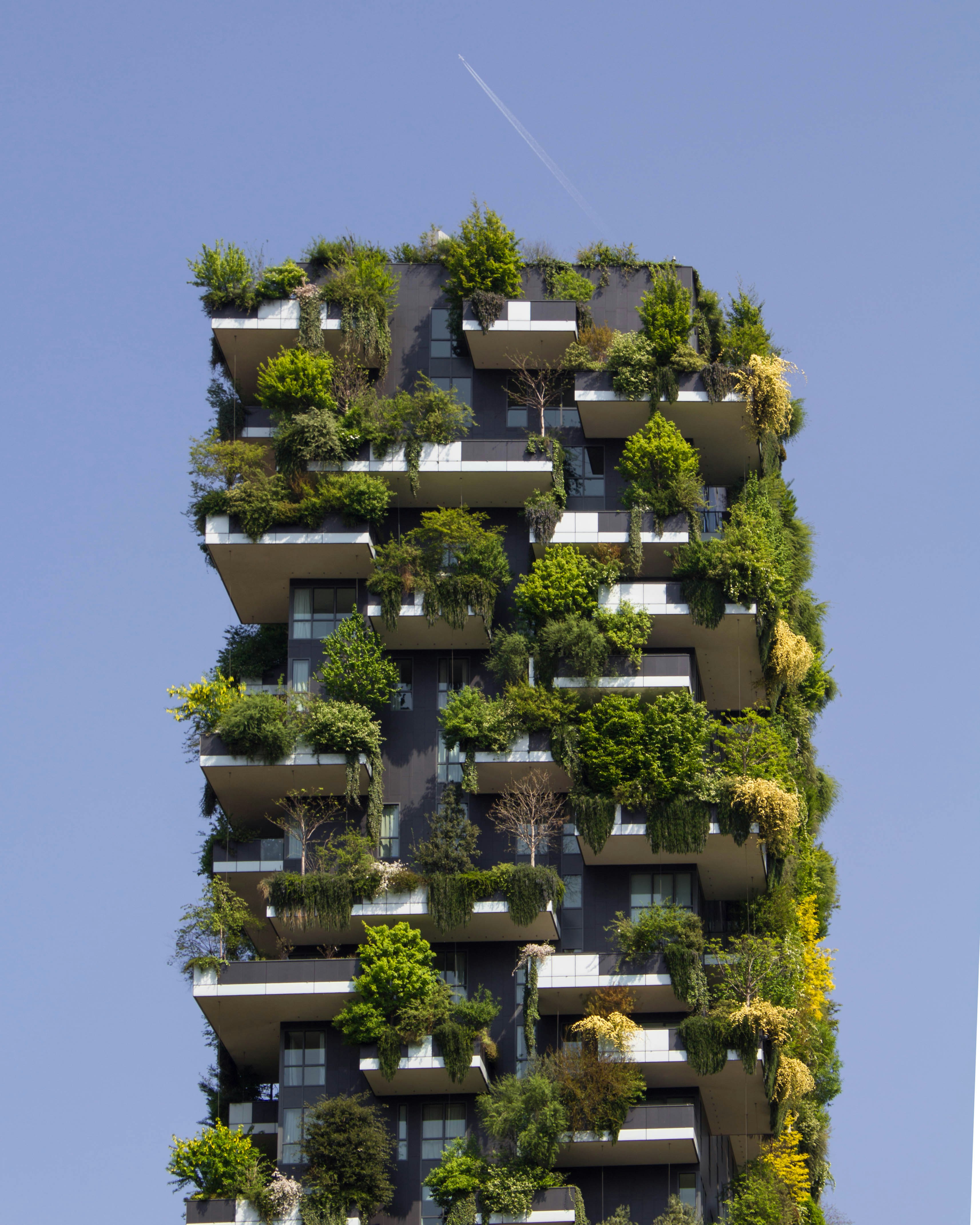 Edificio con vegetación y eficiencia energética